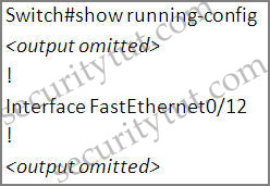 show-running-config.jpg
