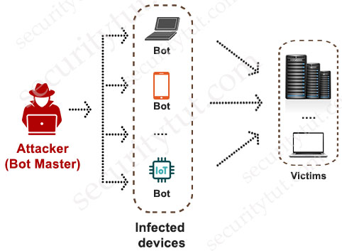 botnet.jpg